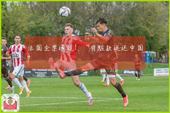 法国全票通过！“将赃款返还中国”