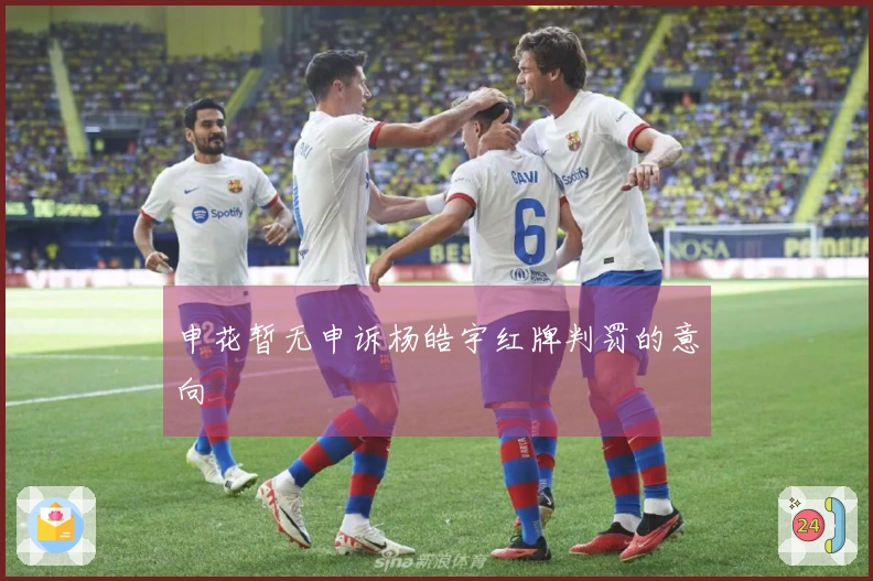 申花暂无申诉杨皓宇红牌判罚的意向